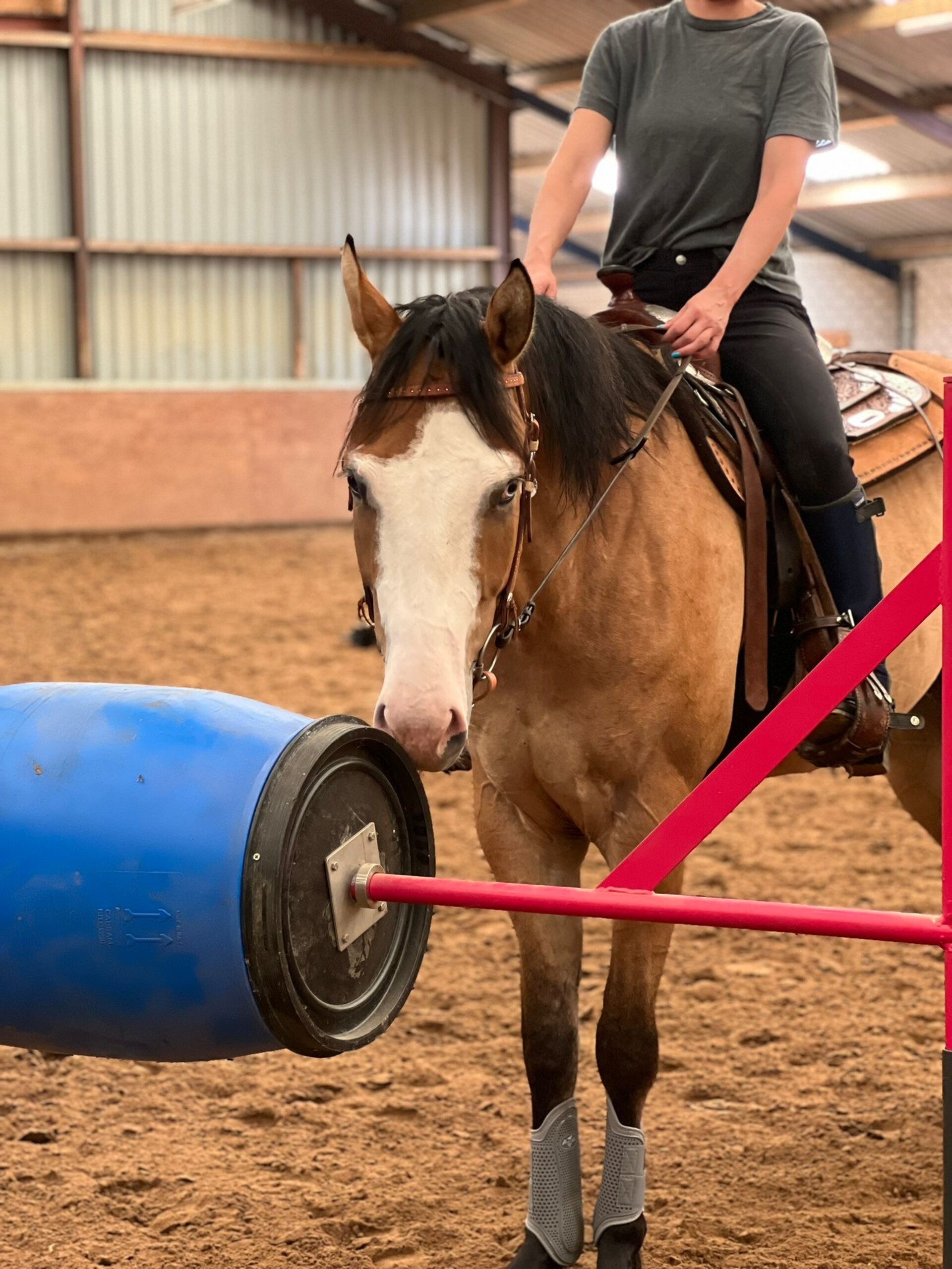 Working equitation trail