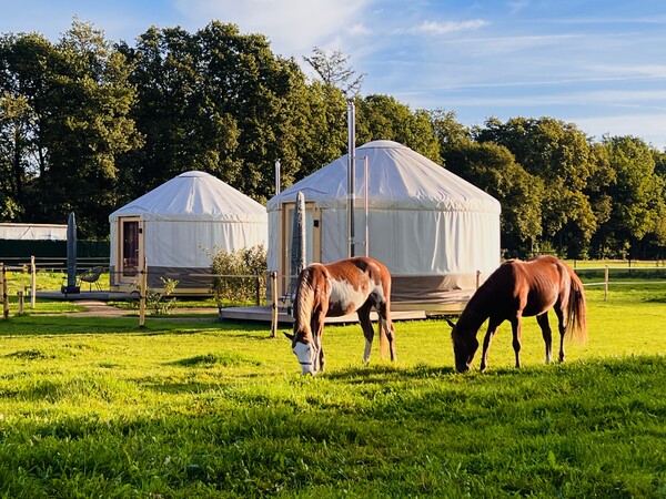 Yurt Solea & Yurt Equus