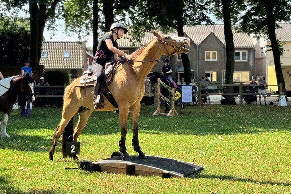 Geslaagde dag van het paard