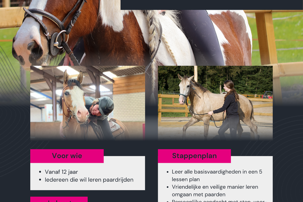 Leren omgaan met paarden